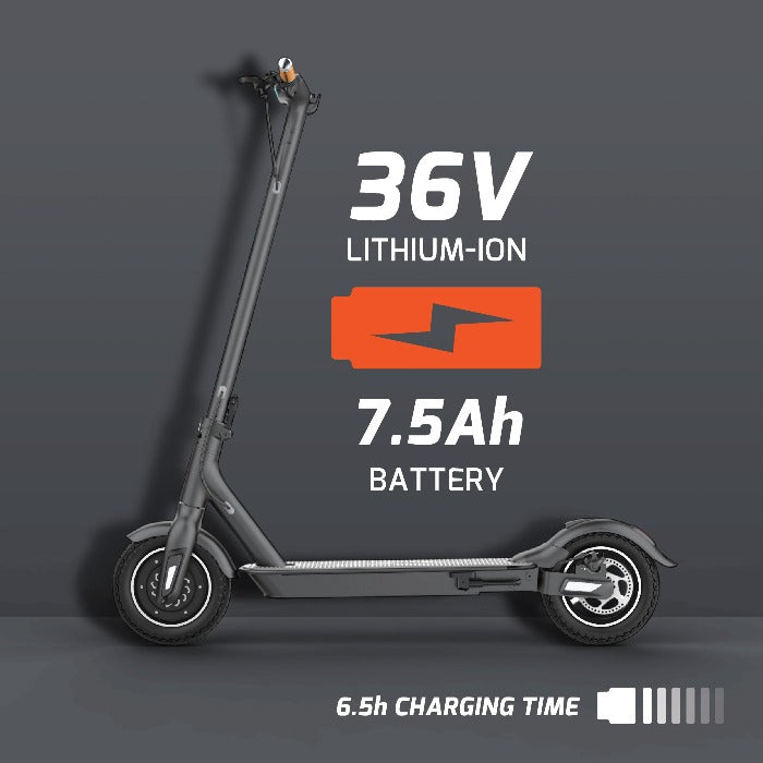 Evolve 36V Electric Scooter Smyth's Homevalue