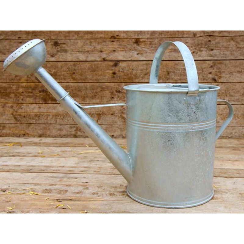 AquaPlus Galvanised Watering Can 9L Smyth's Homevalue
