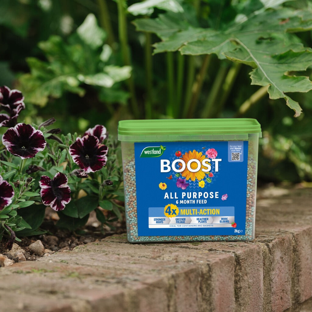 Westland Boost All Purpose Multi-Action Granules 2KG