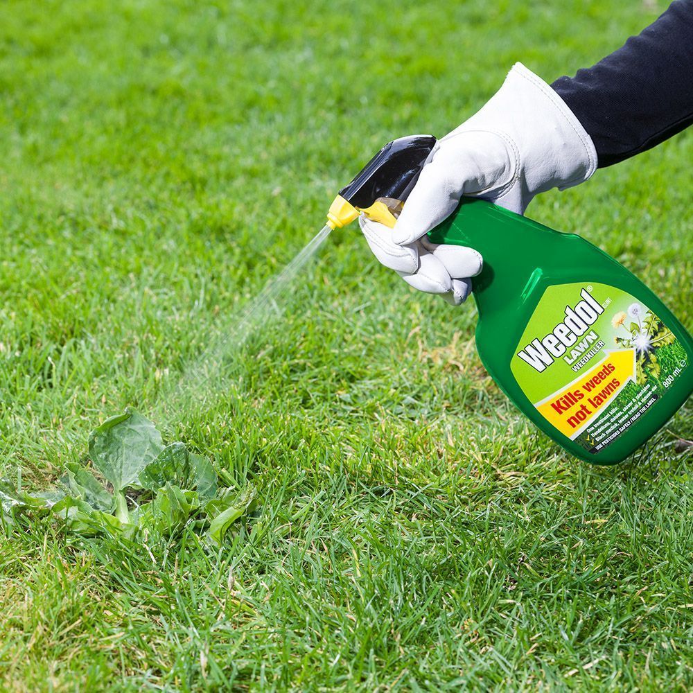 Weedol Lawn Weedkiller Gun 800ML