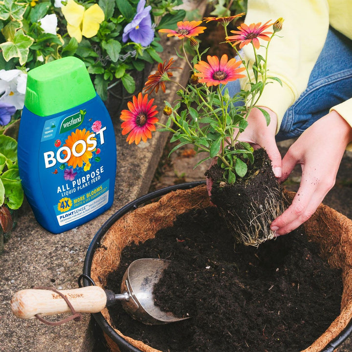 westland boost all purpose liquid plant feed