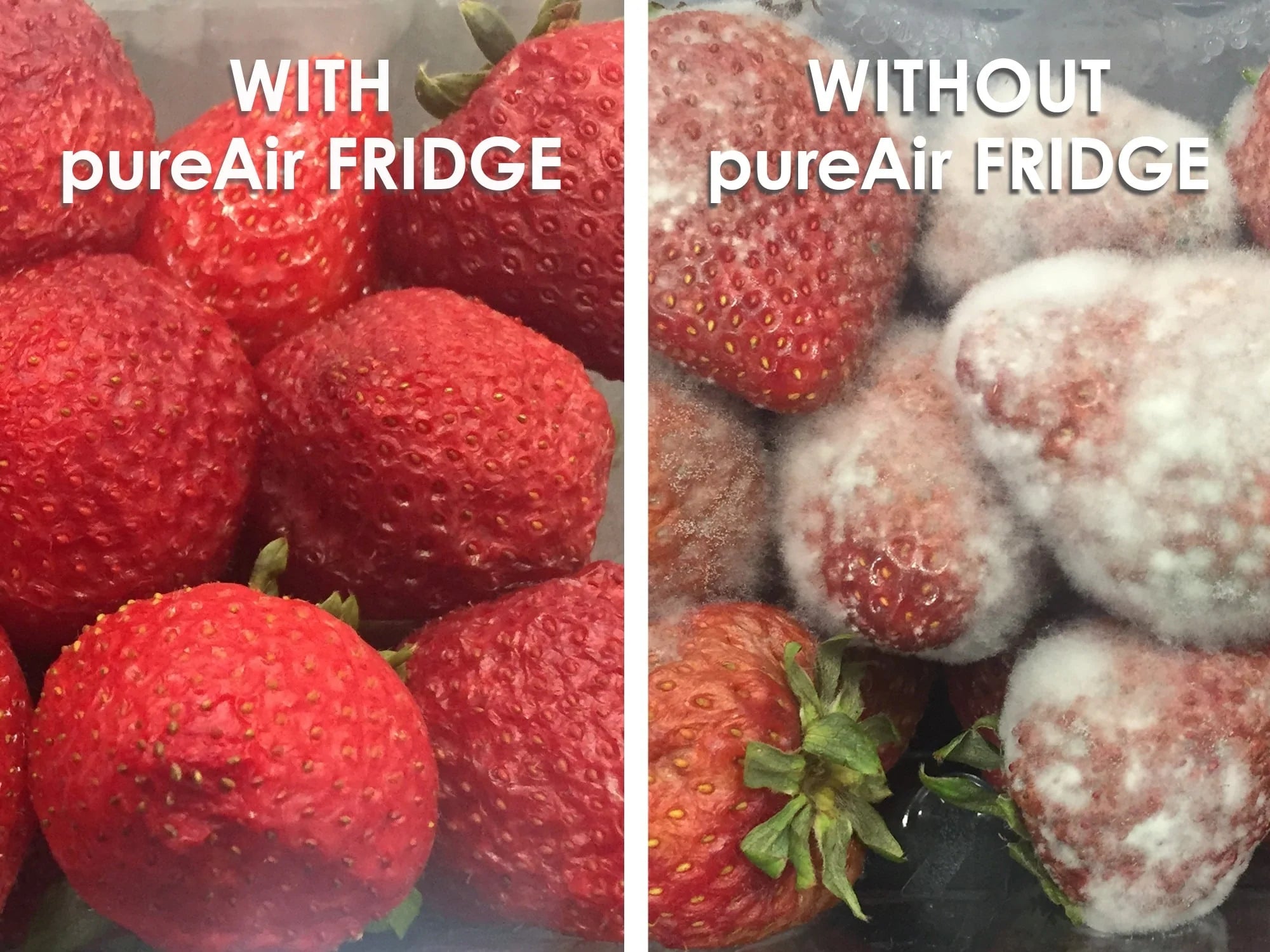 Pure Air Fridge Air Purifier