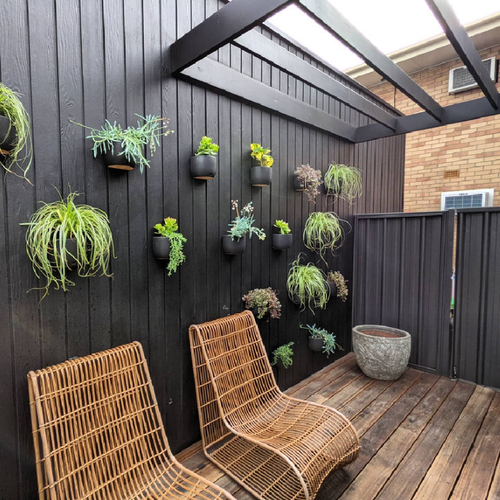 Ebony Wood Stain Cladding Sikkens Cetol Filter 7 Plus Ebony 020