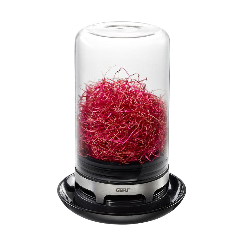 Bivita Sprouting Jar