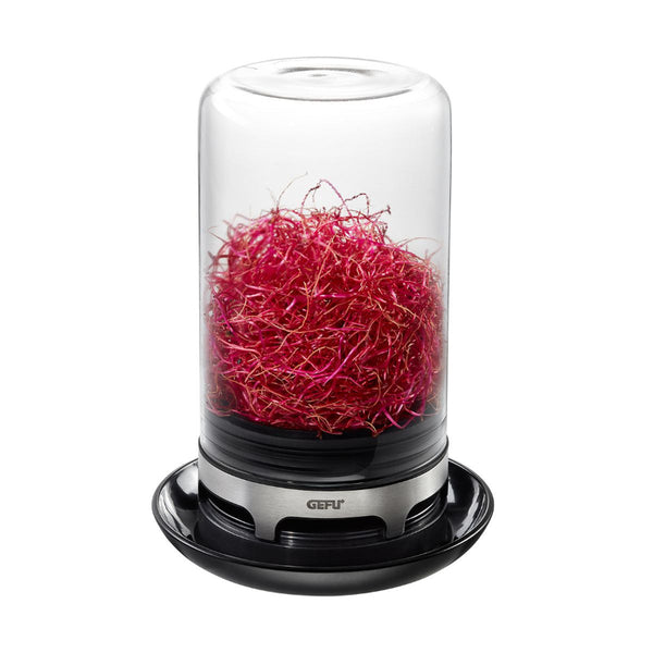 Bivita Sprouting Jar
