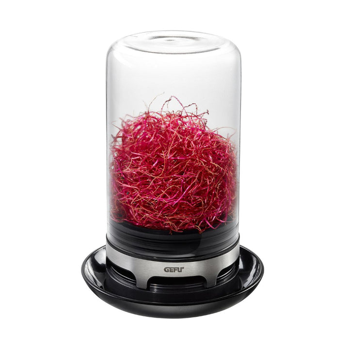Bivita Sprouting Jar