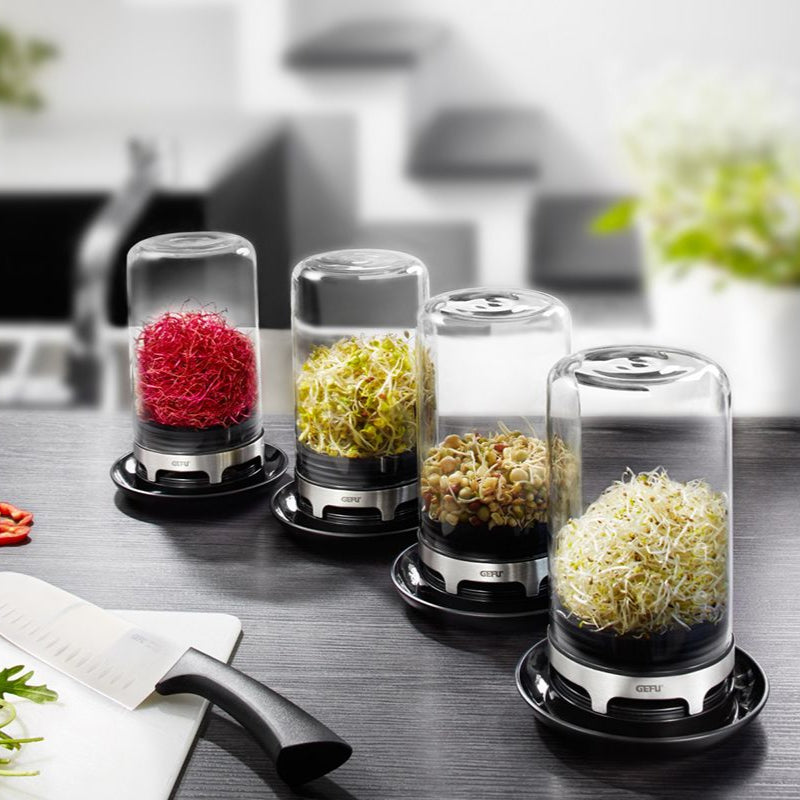 Gefu Bivita Sprouting Jar