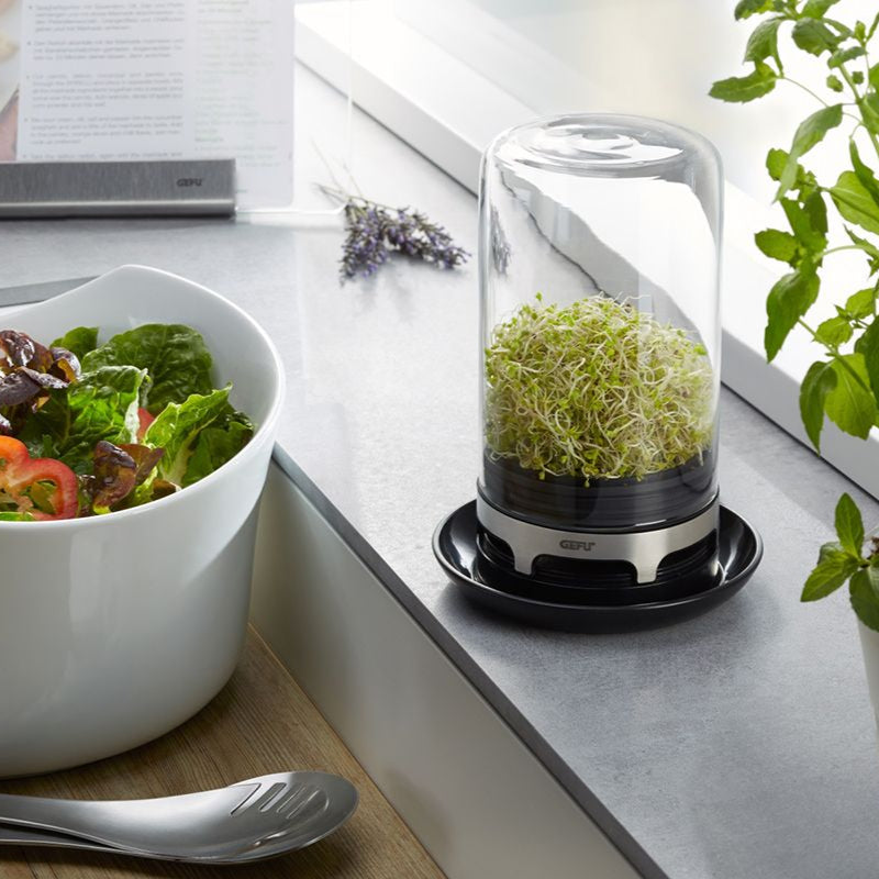 Gefu Bivita Sprouting Jar