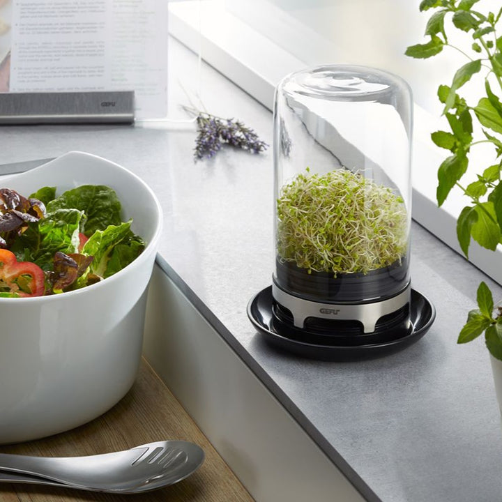 Gefu Bivita Sprouting Jar
