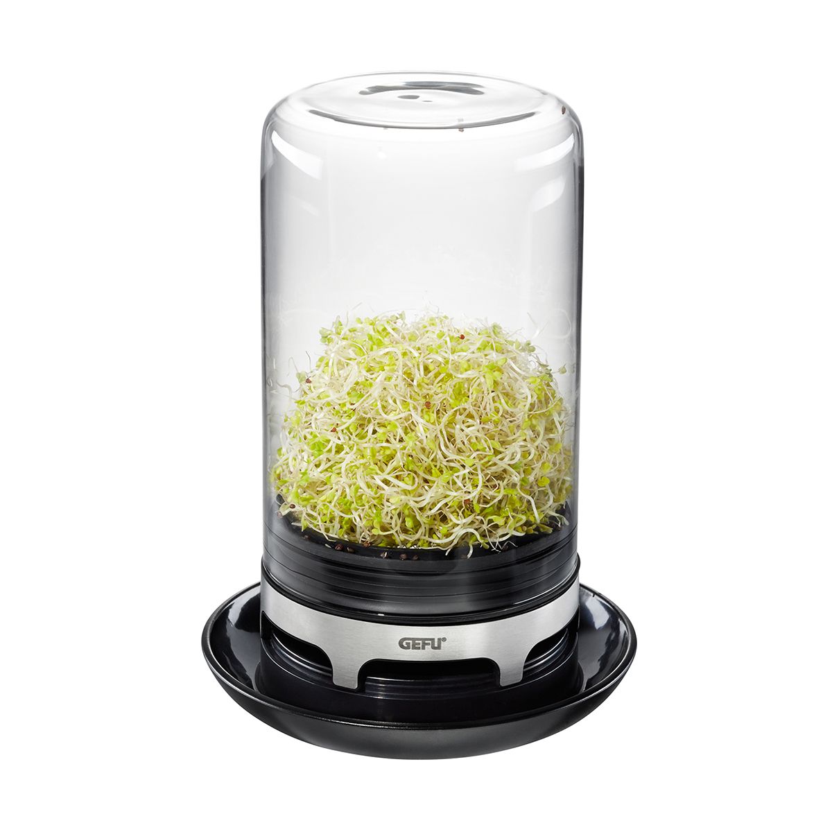 Gefu Bivita Sprouting Jar