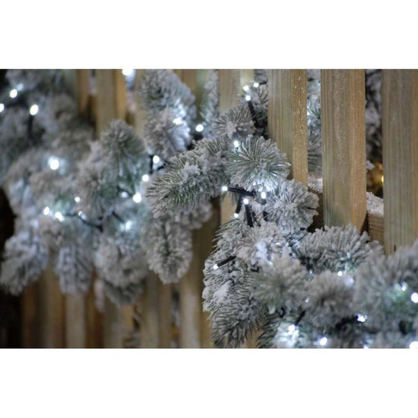 2000 Sparkle LED Lights White