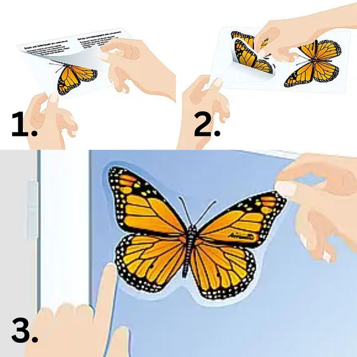 Aeroxon Window Fly Killer Stickers