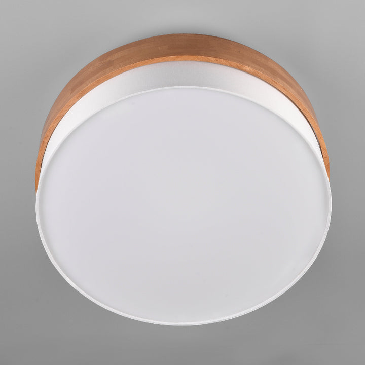 TRIO LIGHTING SEASONS CEILING LIGHT– 611500301