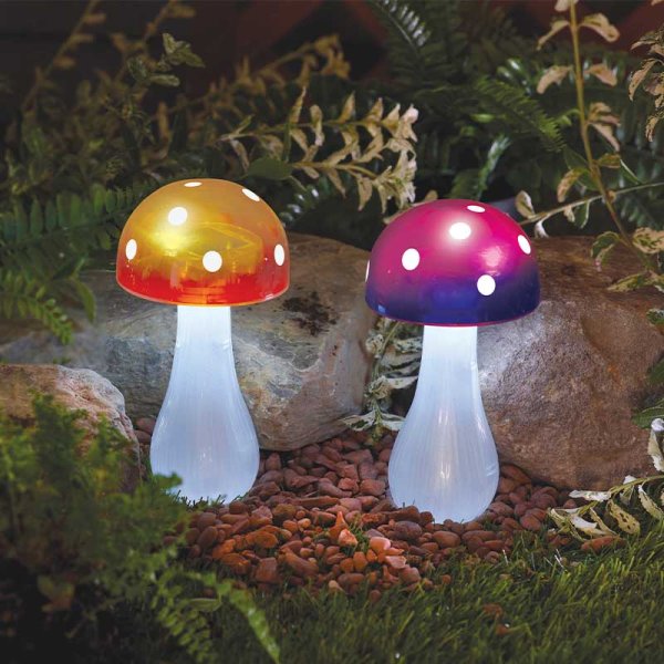 Inspirational range of garden products, specialising in Solar Lighting and Garden Decor, bringing any outside space to life! 