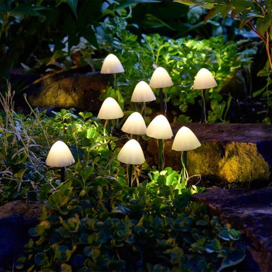 Inspirational range of garden products, specialising in Solar Lighting and Garden Decor, bringing any outside space to life! 