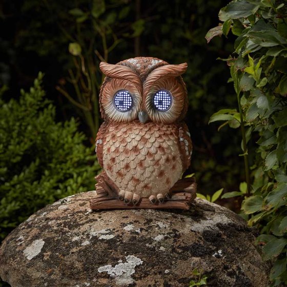 Inspirational range of garden products, specialising in Solar Lighting and Garden Decor, bringing any outside space to life! 