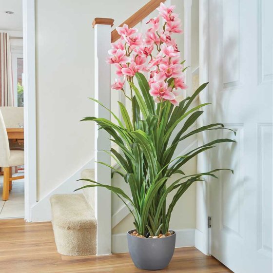 Artificial Orchid - 170cm