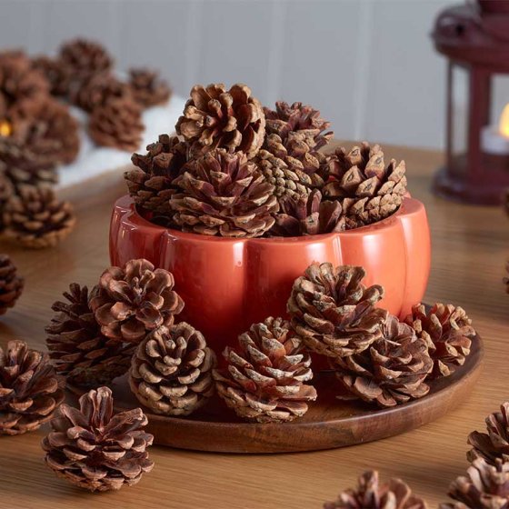 Set of Decorative Pine Cones – 600g Natural Autumn Filler