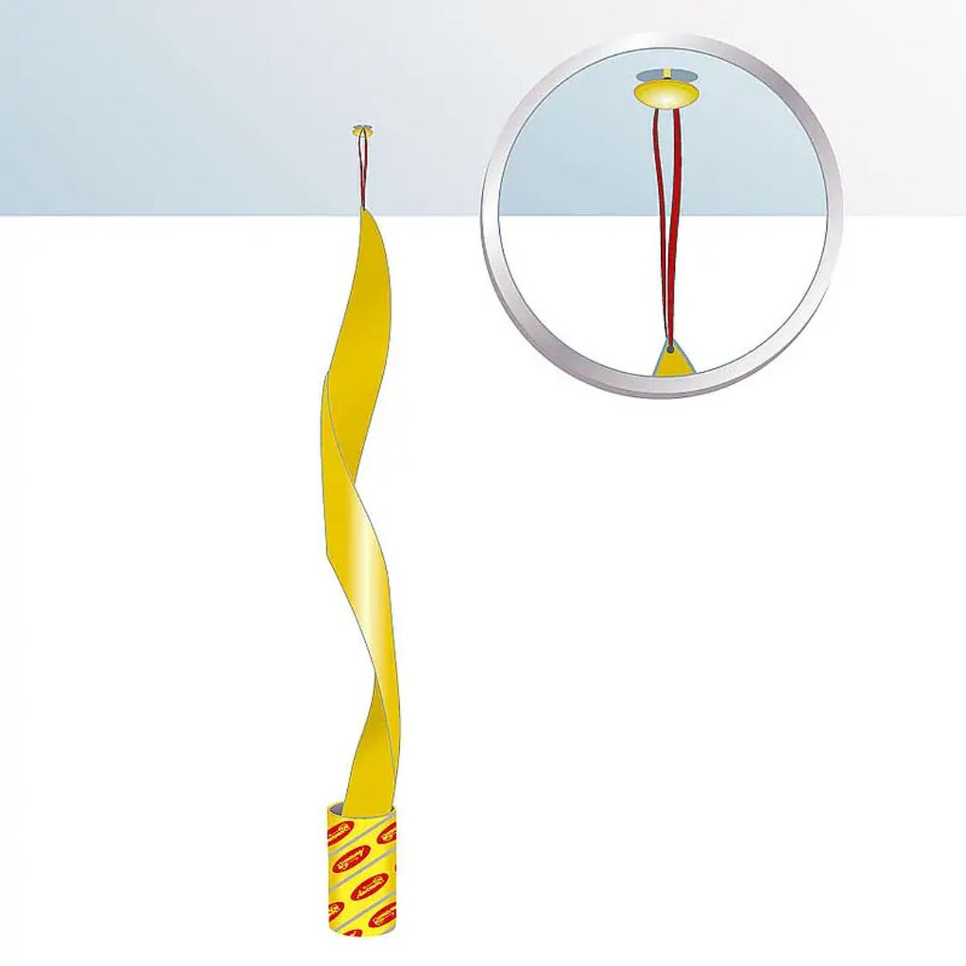 Aeroxon Fly Catchers