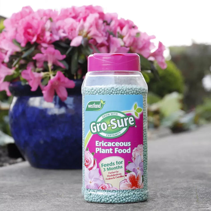 Westland Ericaceous Plant Food Granules 3