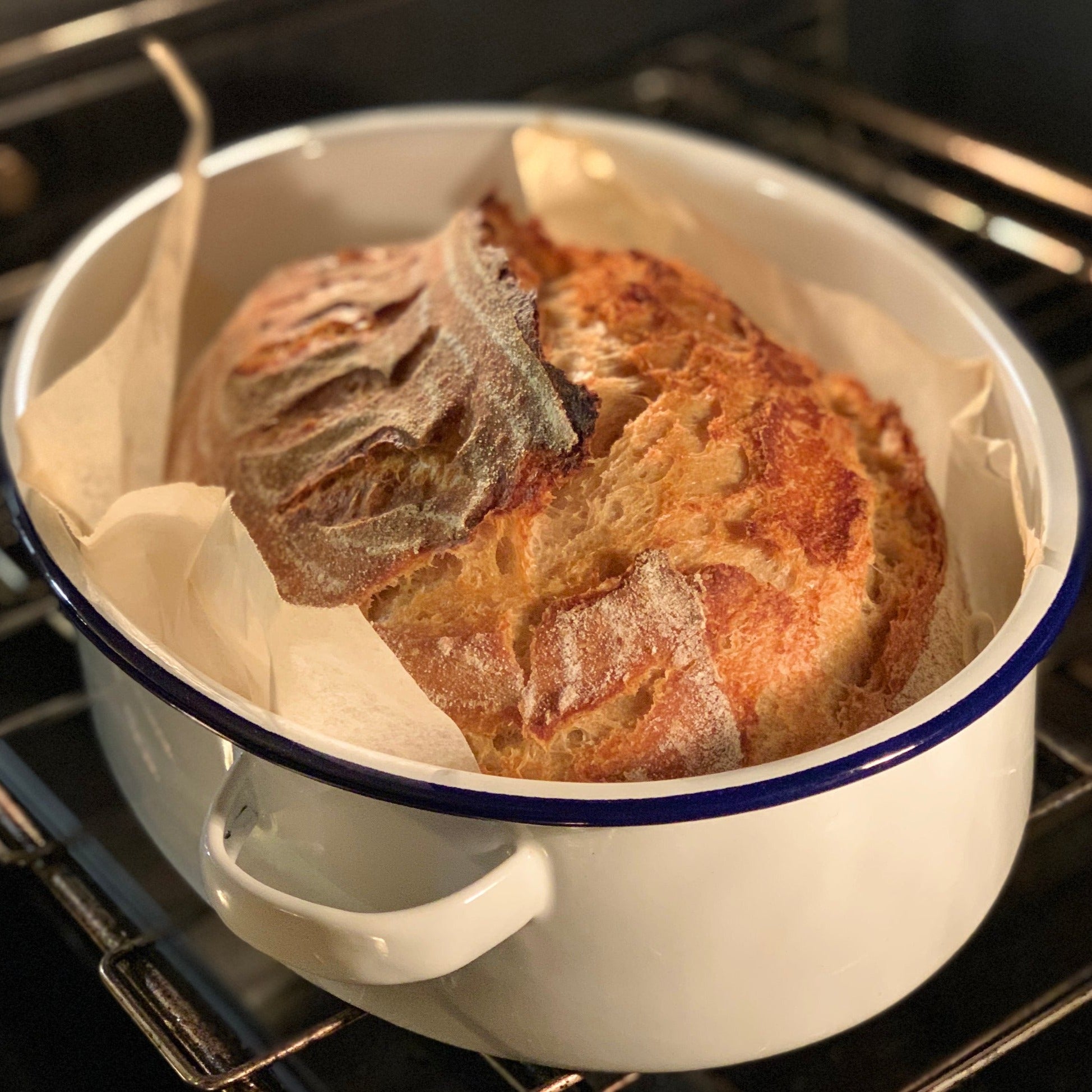 Enamel Falcon 36cm Oval Roaster with Lid