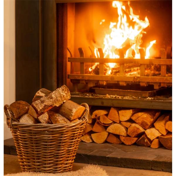 Kiln Dried Hardwood Logs Mesh Bag 21L