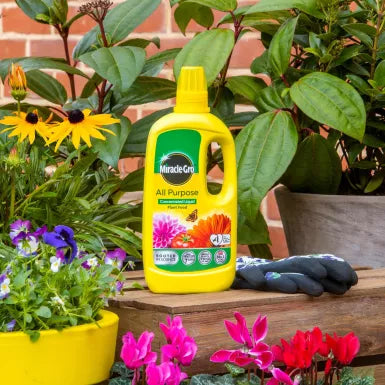 Miracle-Gro® All Purpose Concentrated Liquid Plant Food