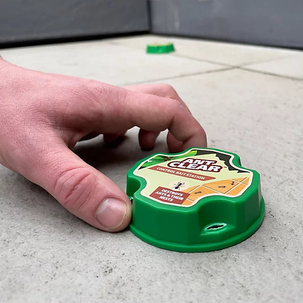 anrt clear on floor in hand