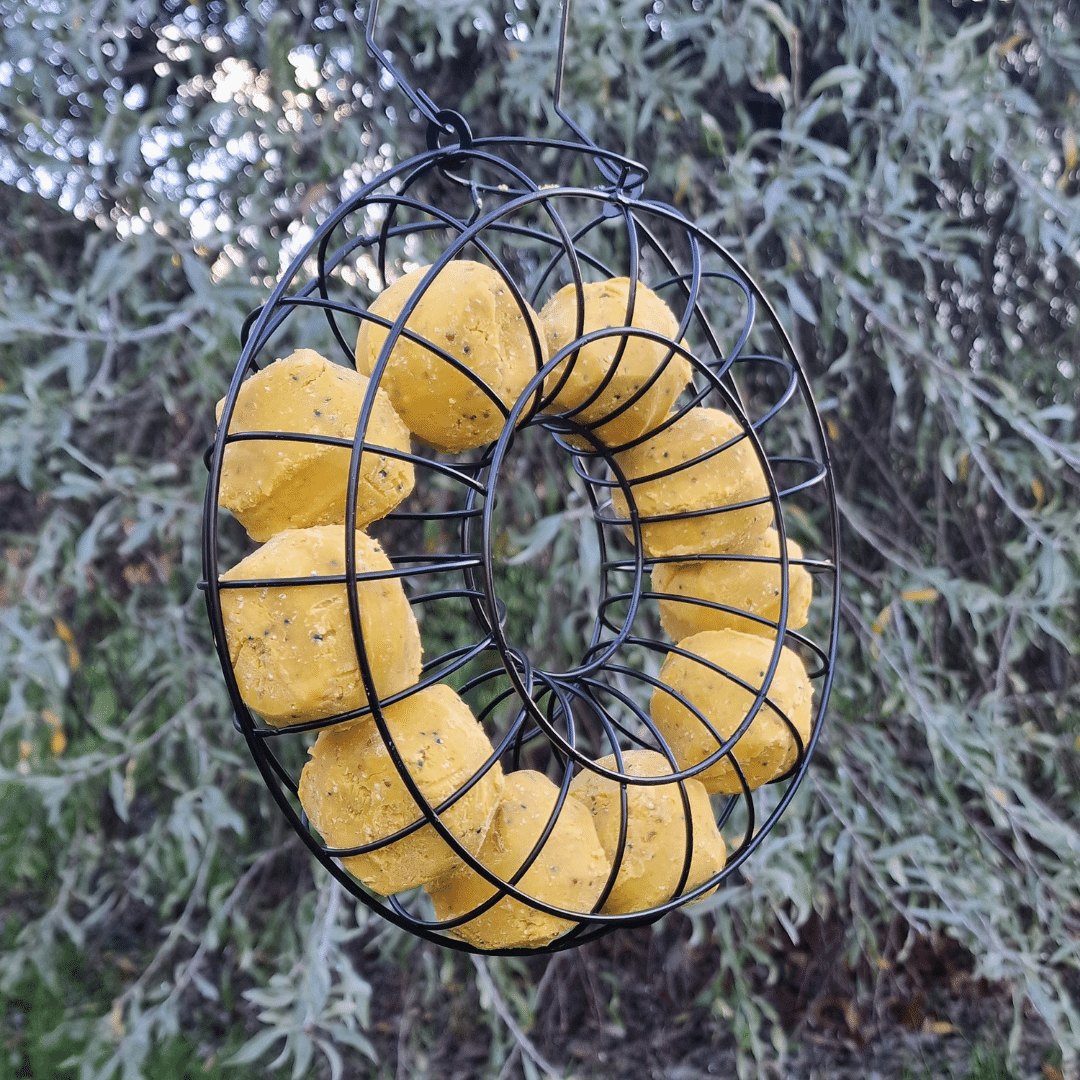 Tom Chambers Fat Ball Ring Feeder