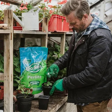Gro-sure Horticulture Perlite 10 Litre Pouch