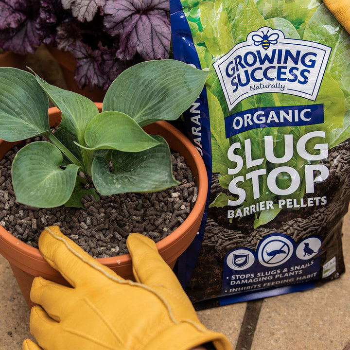 Growing Success Organic Slug Stop Pellets 2.25kg – Smyth's Homevalue