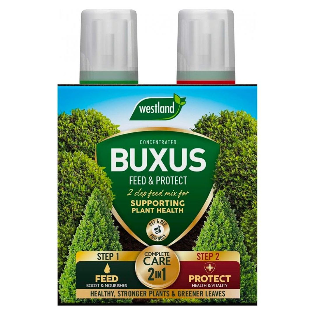 Westland Horticulture Buxus Feed & Protect Concentrates 2 Pack