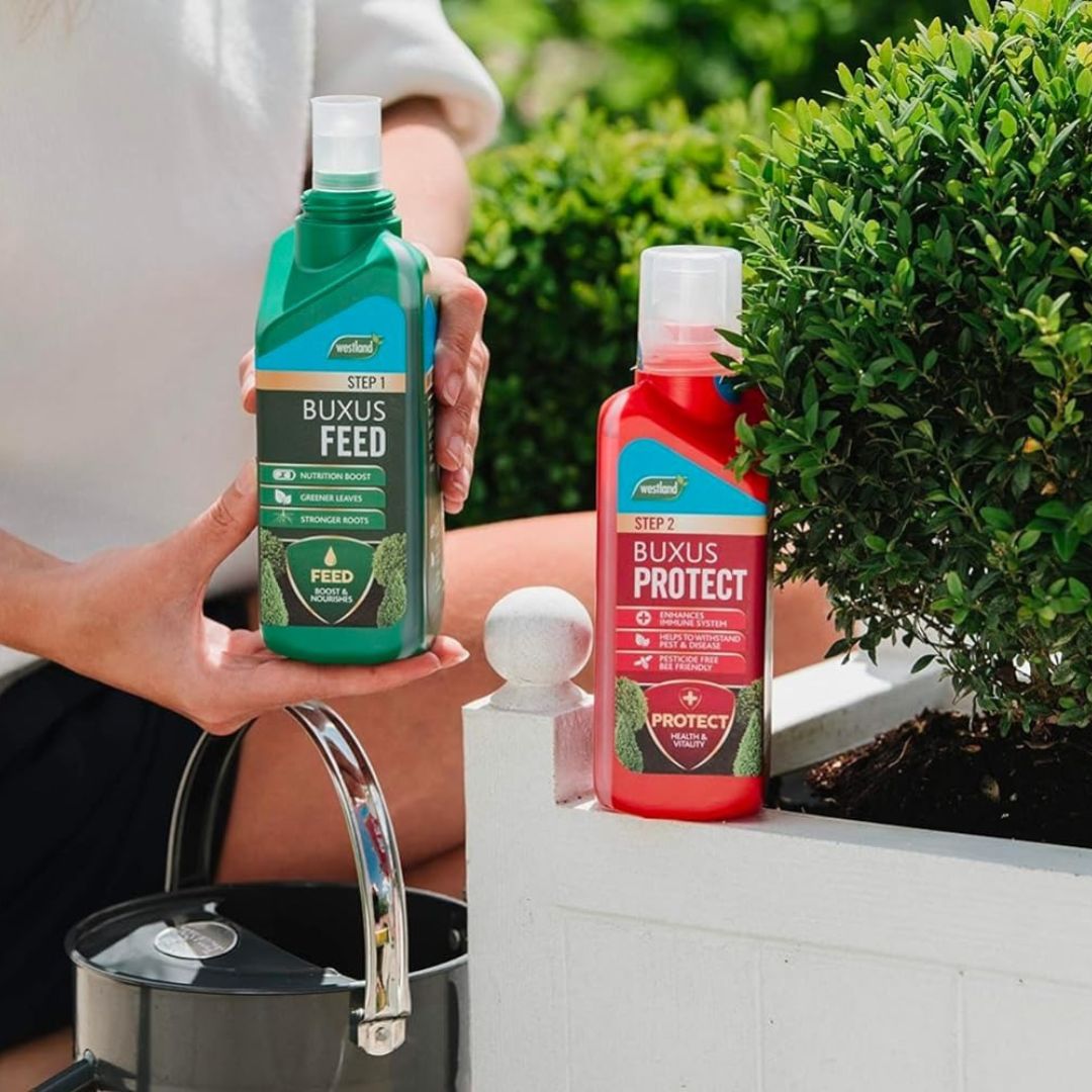 westland-horticulture-buxus-feed-protect-concentrates4