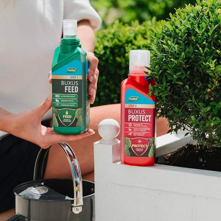 westland-horticulture-buxus-feed-protect-concentrates4