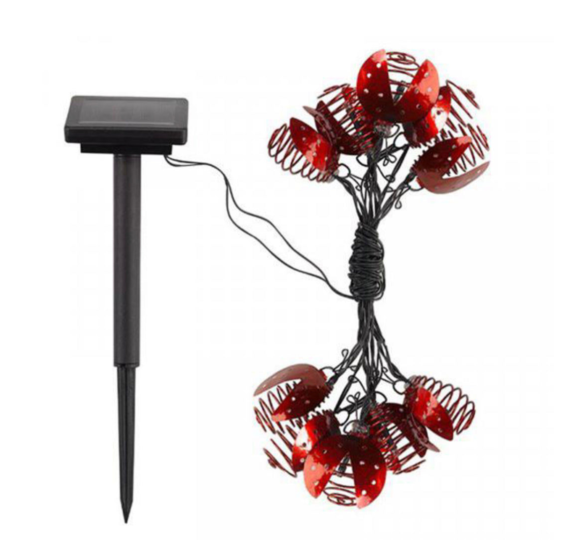 10 Ladybird Solar String Lights