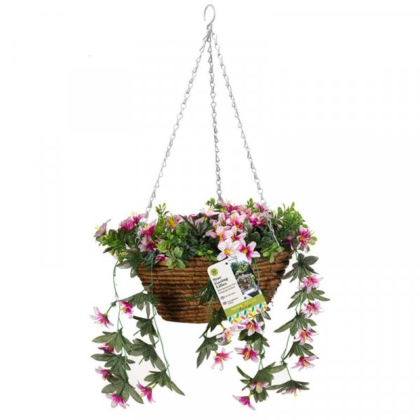 Easy Baskets - Star Gazing Lilies