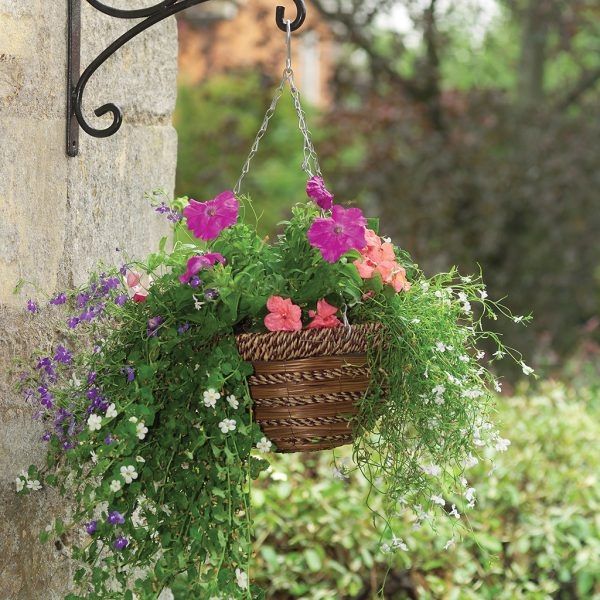 35 cm /14" Sisal Rope & Fern Hanging Basket