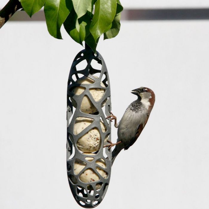 Singing Friend Sam Recycled Plastic Bird Feeder with Rope