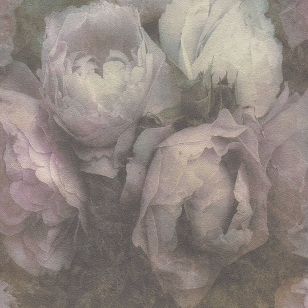 AS Creation New Walls  Wallpaper