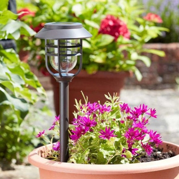 Avant 5 Lumen Solar Garden Stake Light 5 Pack