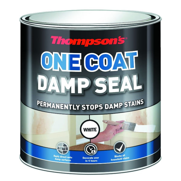 Thompson's One Coat Damp Seal