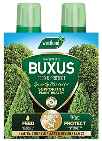 Westland Horticulture Buxus Feed & Protect Concentrates 2