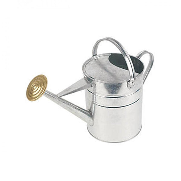 Galvanised Watering Can - 2 Gallon
