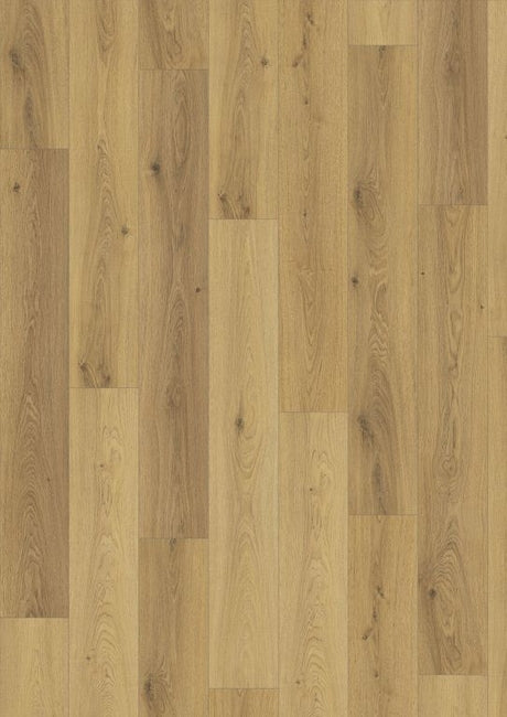 8mm Oak Trilogy Natural 4V Laminate - Smyths Homevalue Enniscorthy