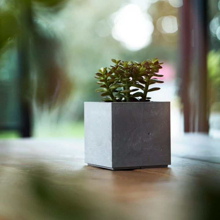 Stewart Beton Cube | Light Grey