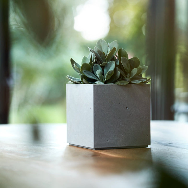 Stewart Beton Cube | Light Grey