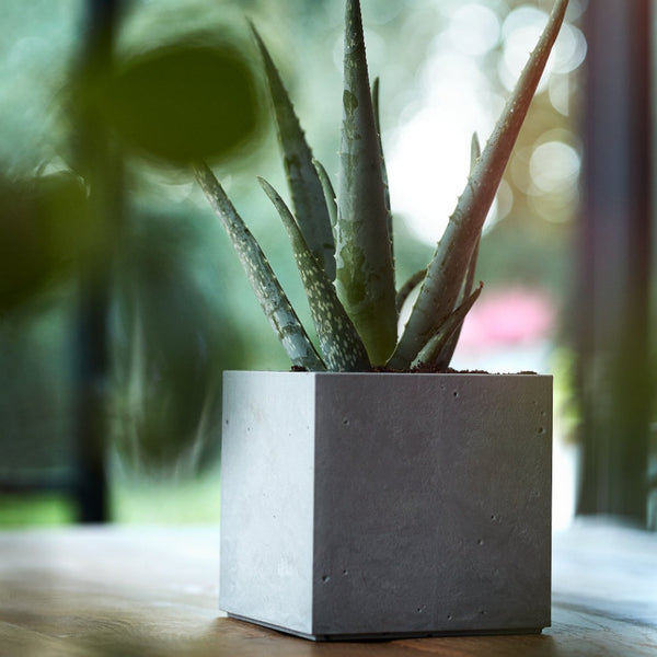 Stewart Beton Cube | Light Grey