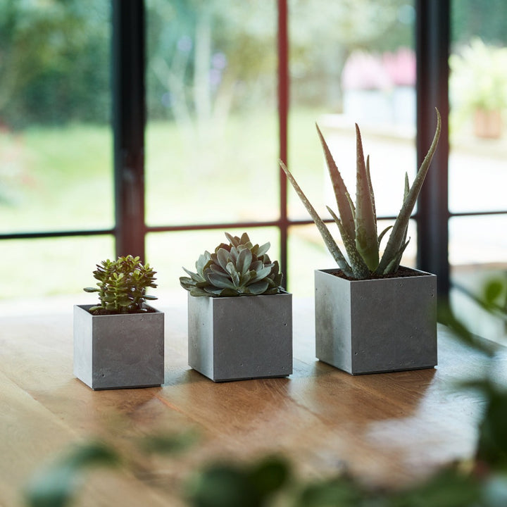 Stewart Beton Cube | Light Grey