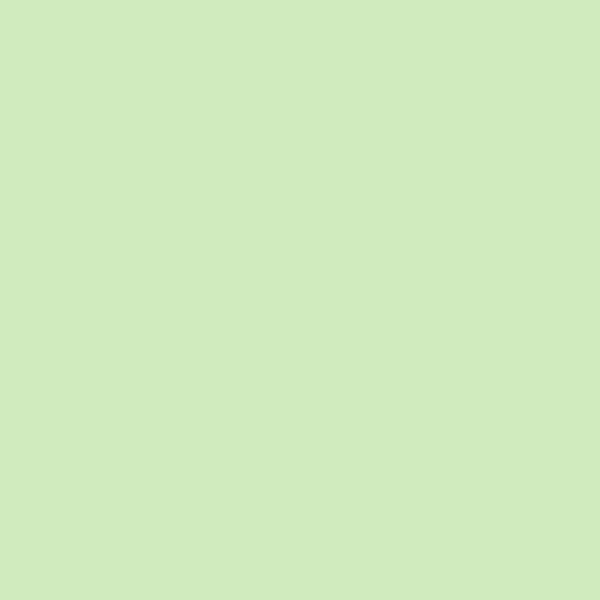 Pistachio Shell