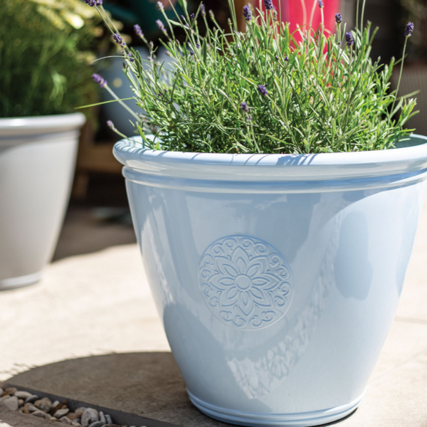 Eden Emblem Garden Planter - Blue